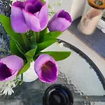 Gasthof Purple