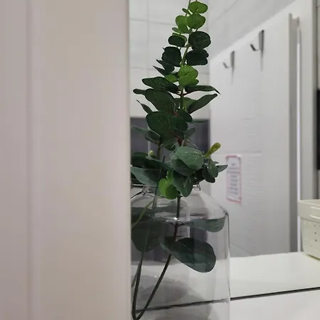 Pensión Purple Mostar