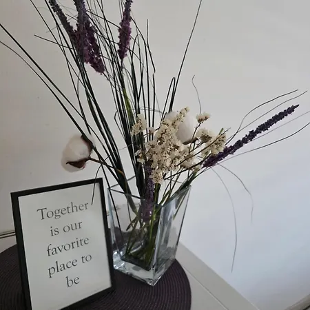 Konukevi Purple