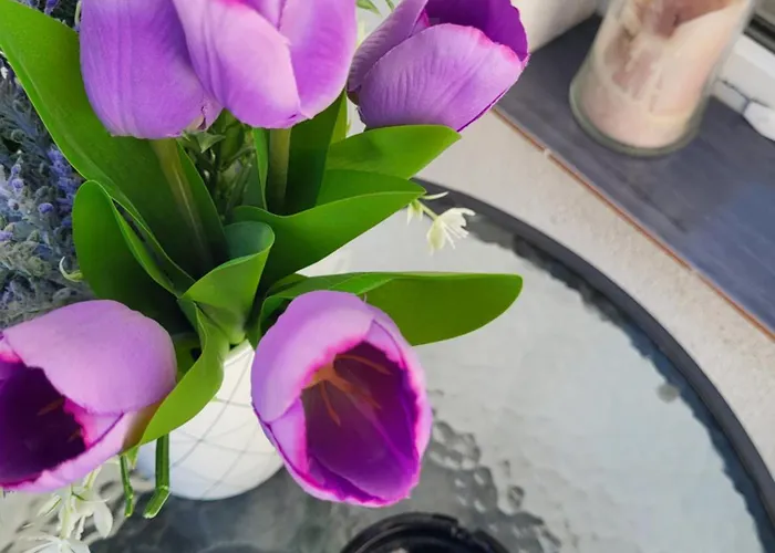 게스트하우스 Purple