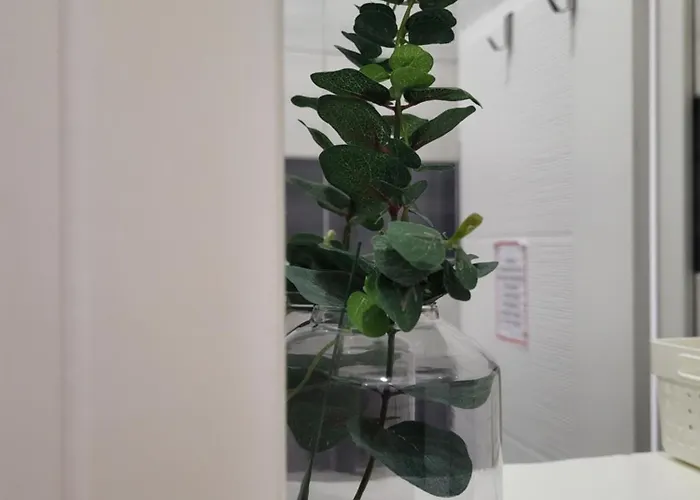 Penzion Purple Mostar